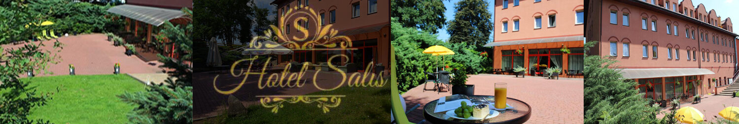 Witamy na stronie Hotelu Salis